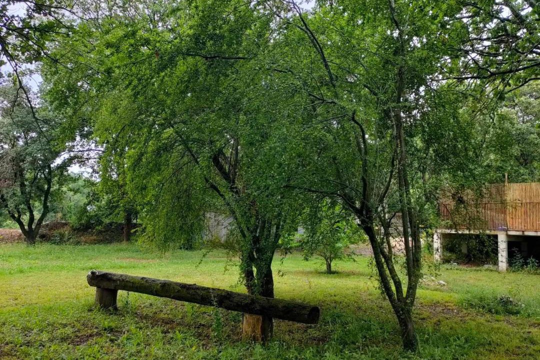 Photo of Others in Dions