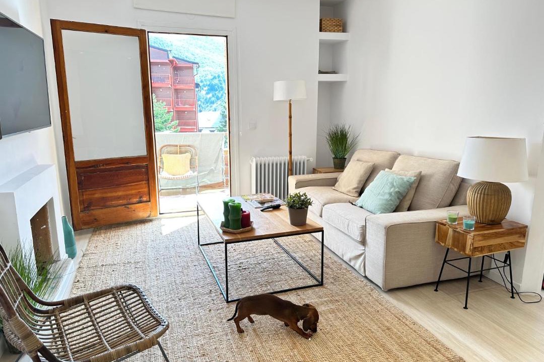 Photo of Livingroom in Formigal