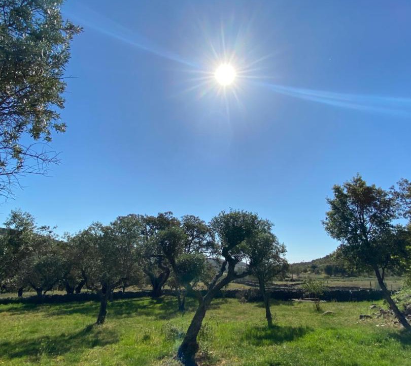 Photo of Outdoor in San Vicente de Alcantara