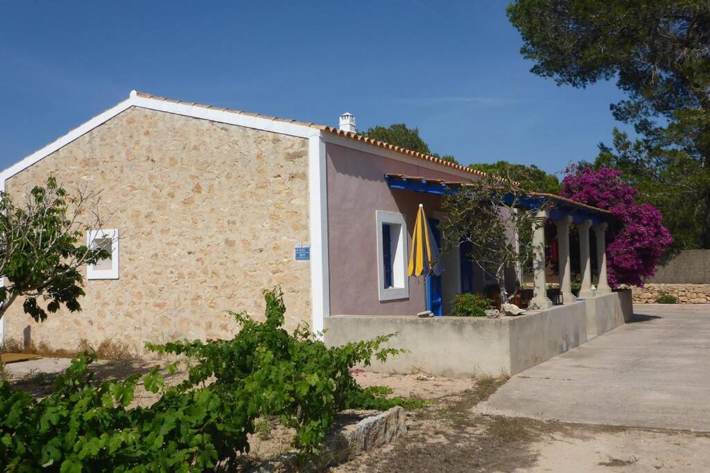 Photo of Buildings in Formentera