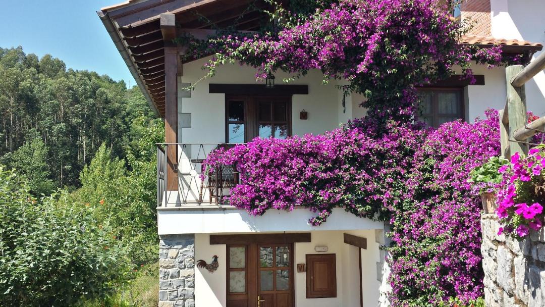 Photo of Buildings in Ribadesella