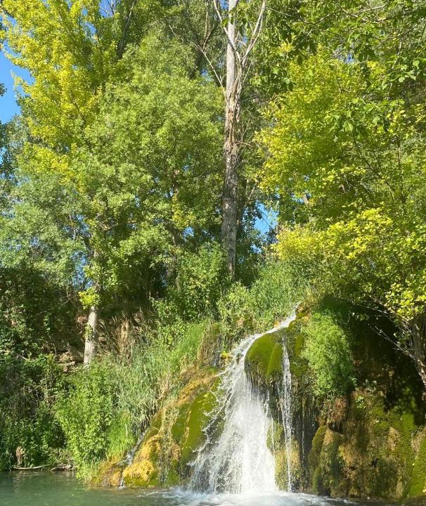 Photo of Others in Torremocha del Campo