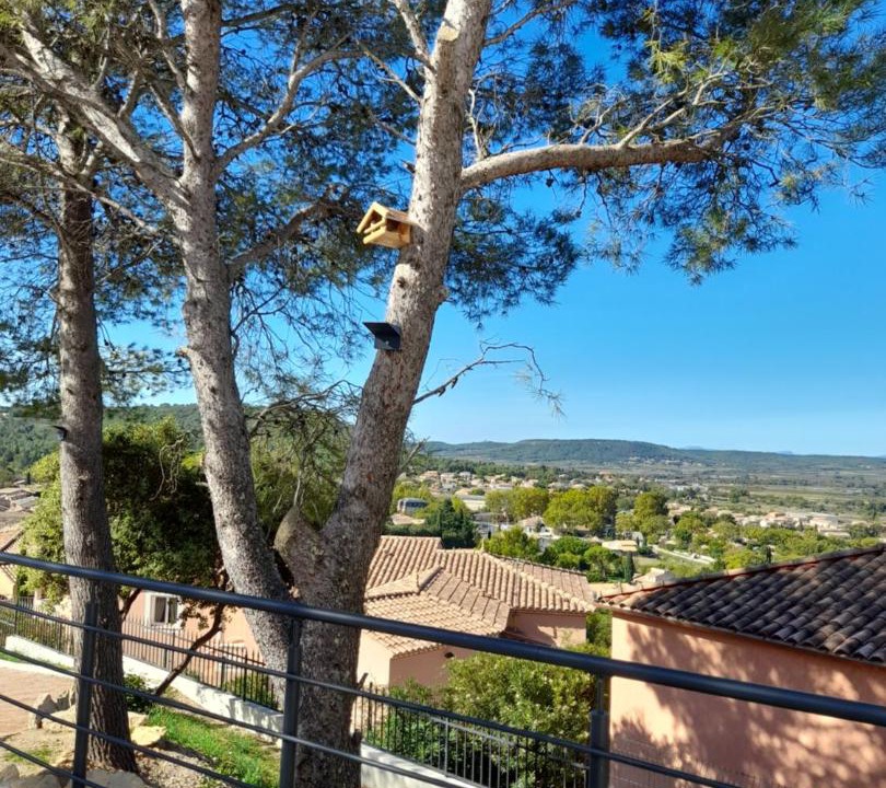 Photo of Outdoor in Langlade