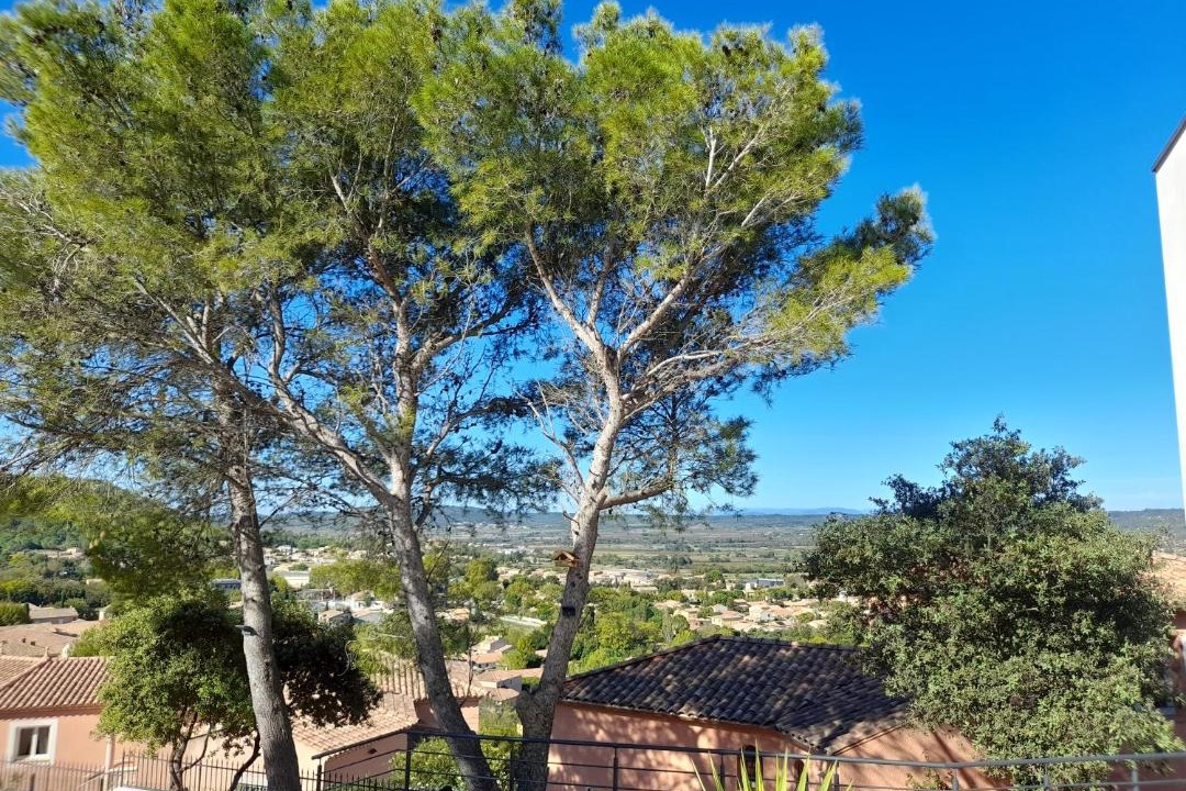 Photo of Outdoor in Langlade