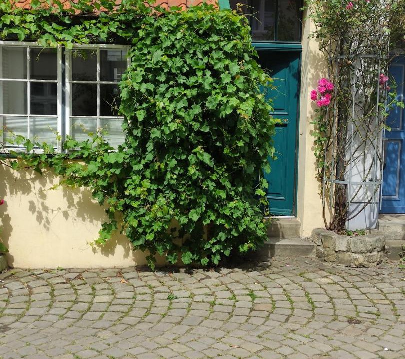 Photo of Buildings in Altstadt