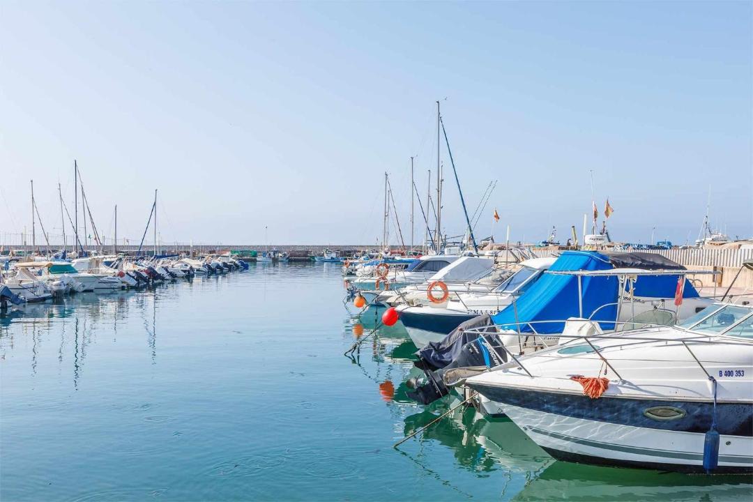 Photo of Others in Caleta de Velez