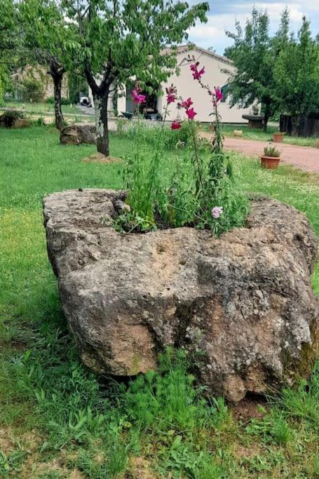 Photo of Outdoor in Payzac