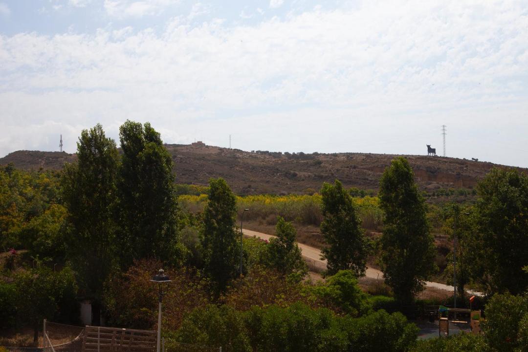 Photo of Others in Almayate Bajo