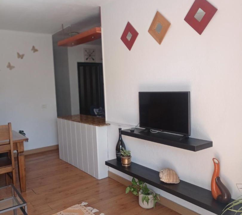 Photo of Livingroom in Playa Honda
