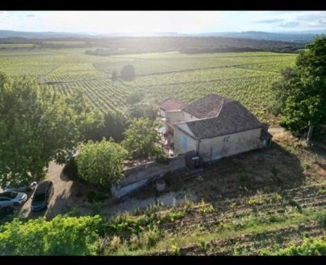 Photo of Others in Chateauneuf-du-Pape