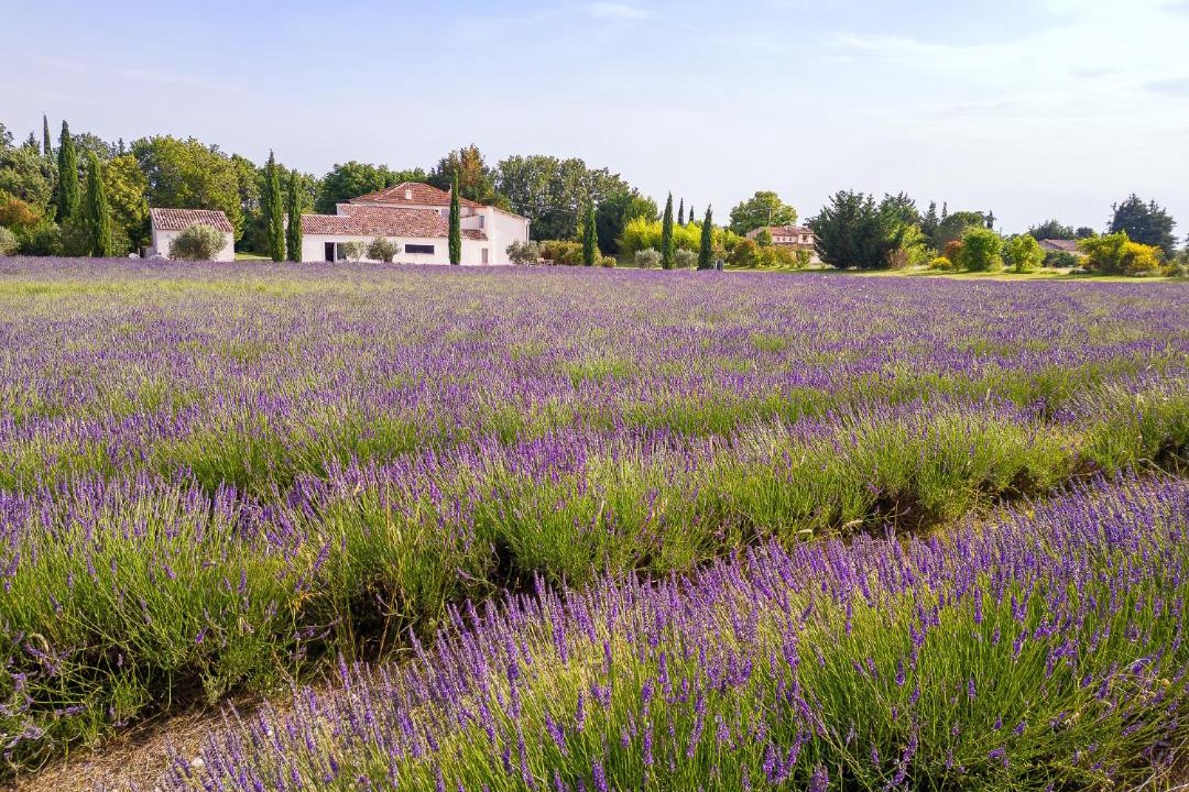 Photo of Others in Aix-en-Provence