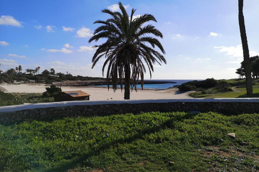 Photo of Others in Cala'n Bosch