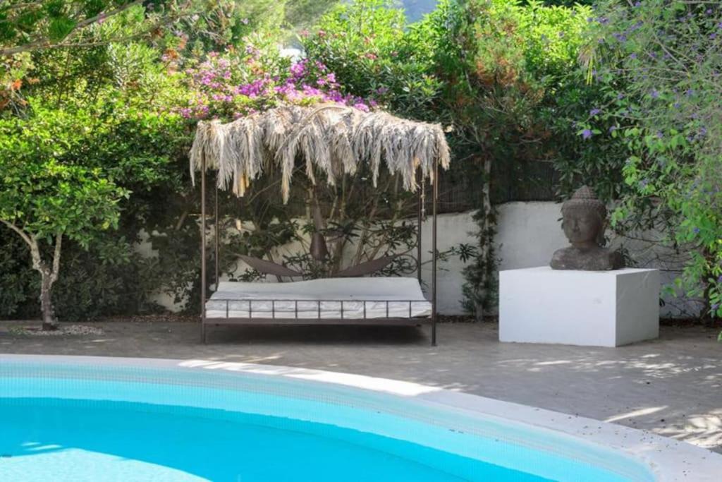 Photo of Outdoor in Ibiza Town