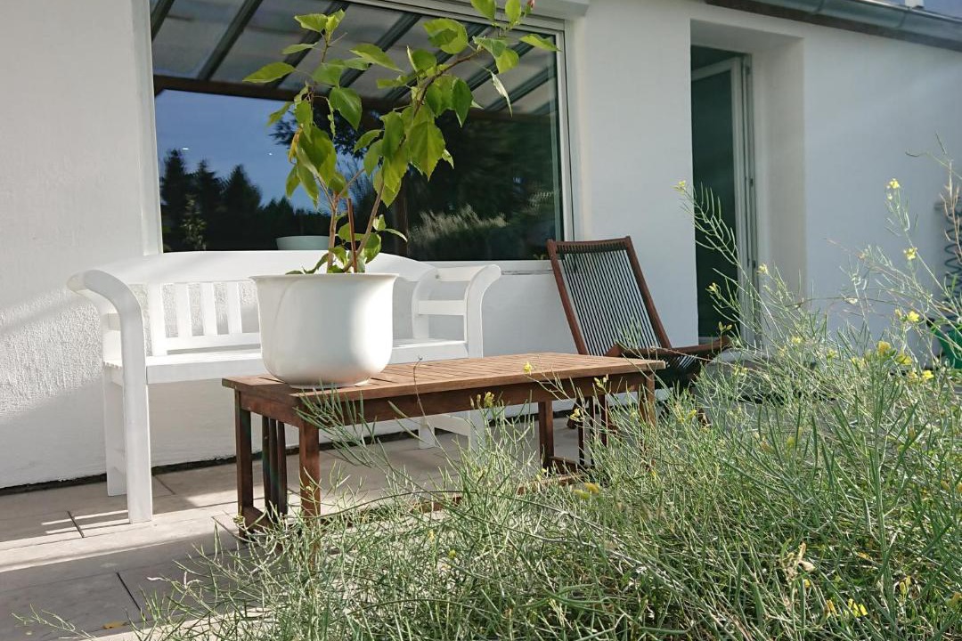 Photo of Others in Mittelfeld