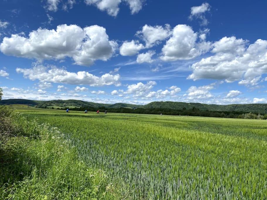 Photo of Outdoor in Amelunxen
