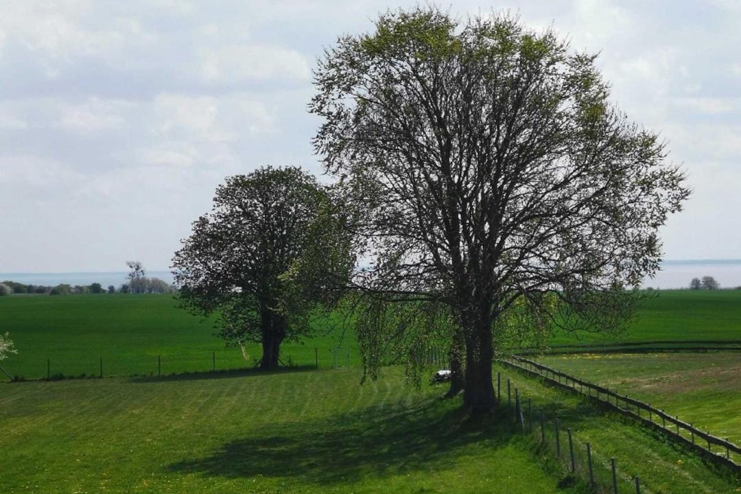 Photo of Outdoor in Stolpe