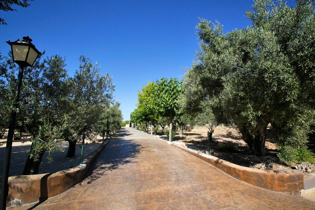 Photo of Outdoor in Onil