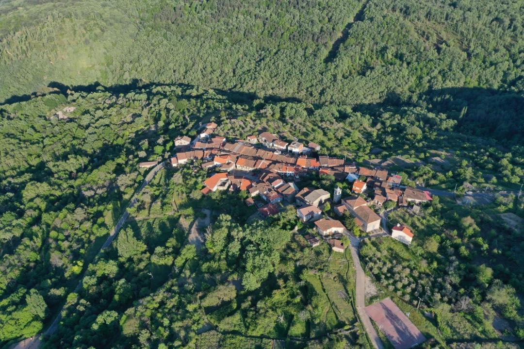 Photo of Outdoor in Monforte de la Sierra