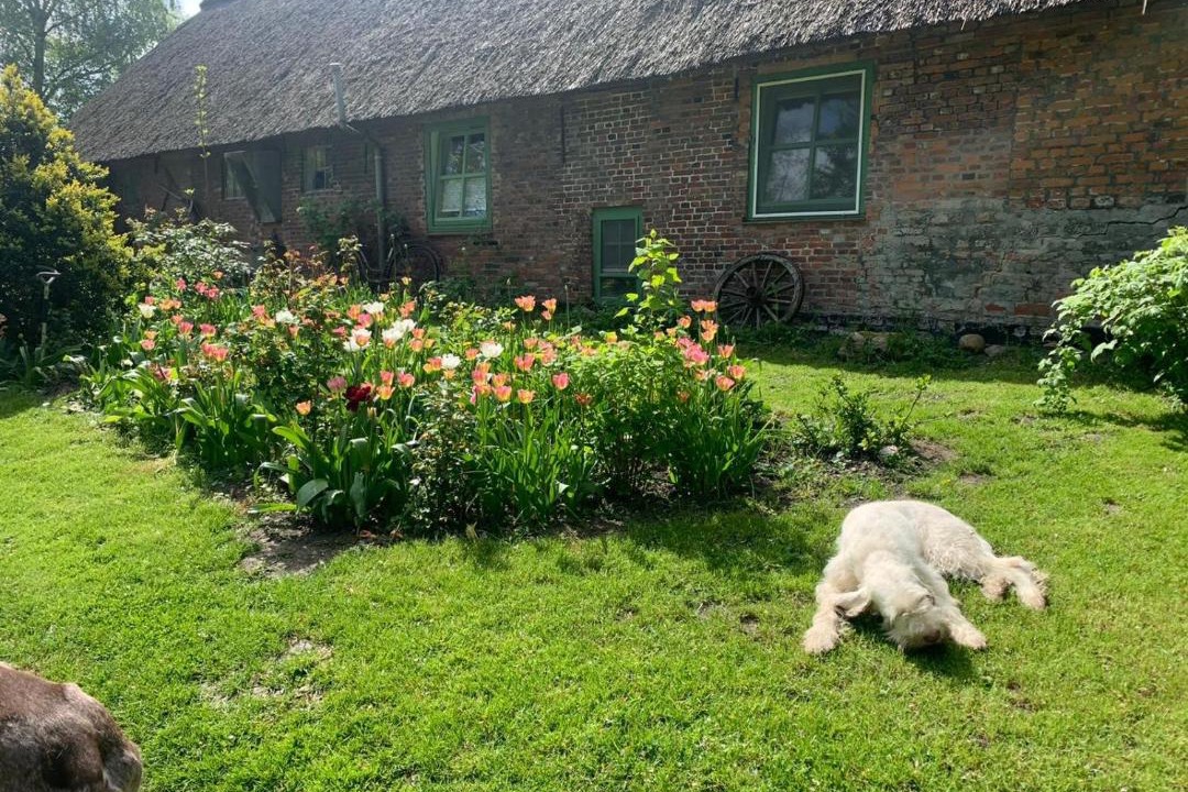 Photo of Buildings in Witzwort