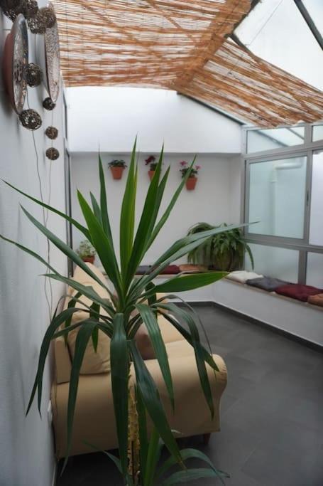 Photo of Patio Balcony in Santa Cruz