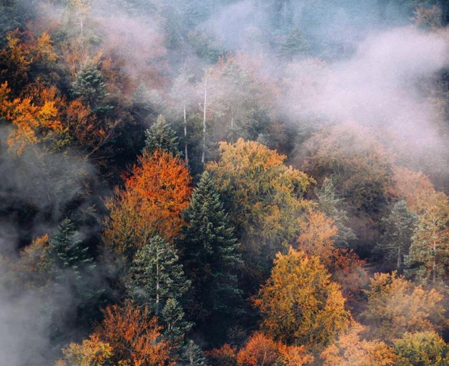 Photo of Outdoor in Potzwenden