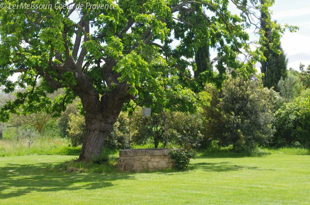 Photo of Outdoor in Pont Royal