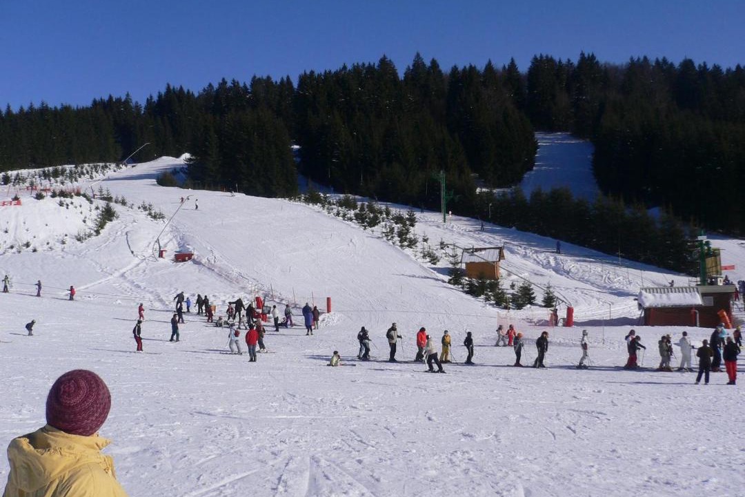 Photo of Others in Morbier