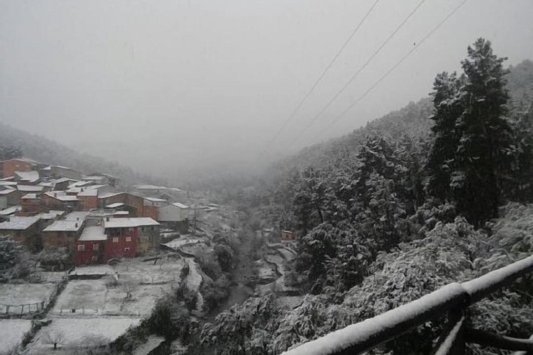 Photo of Others in Pinofranqueado