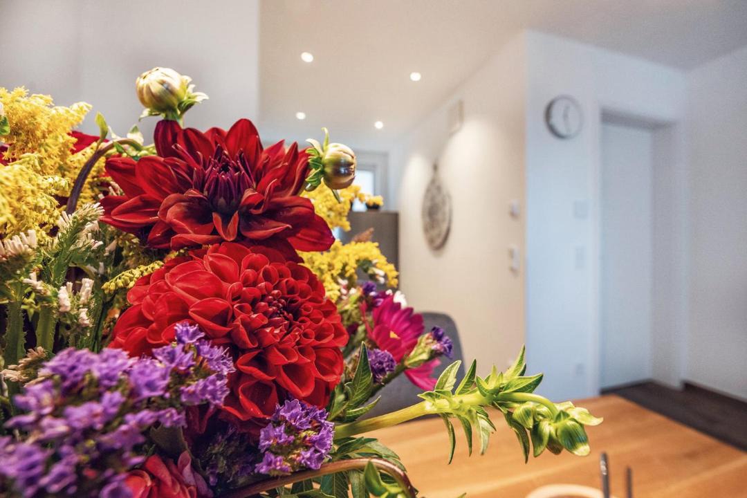 Photo of Livingroom in Andreasvorstadt