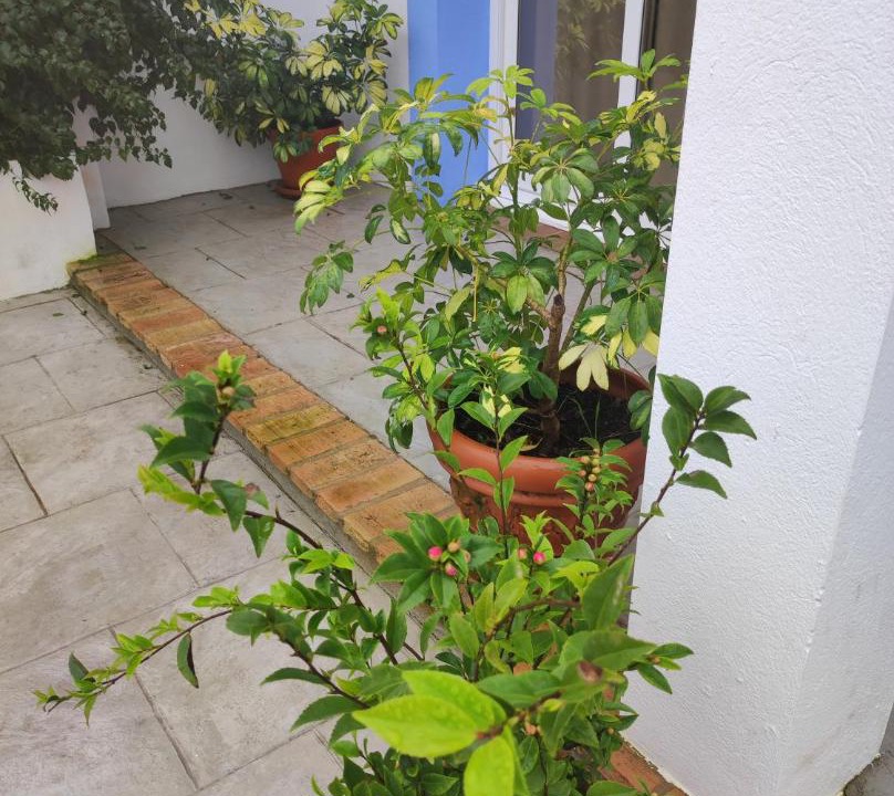 Photo of Patio Balcony in Jerte