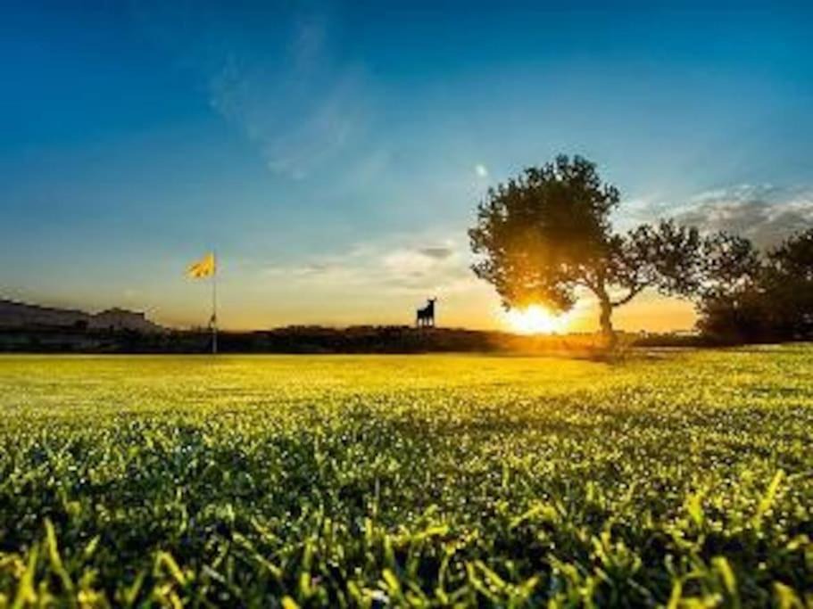 Photo of Outdoor in Monforte del Cid