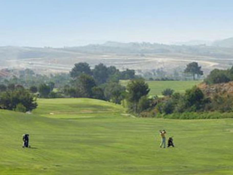 Photo of Others in Monforte del Cid