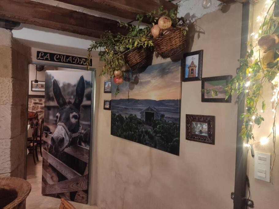 Photo of Others in Pozuelo de Aragon