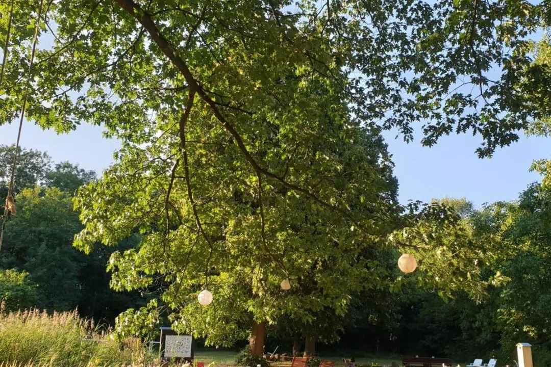 Photo of Others in Bensdorf