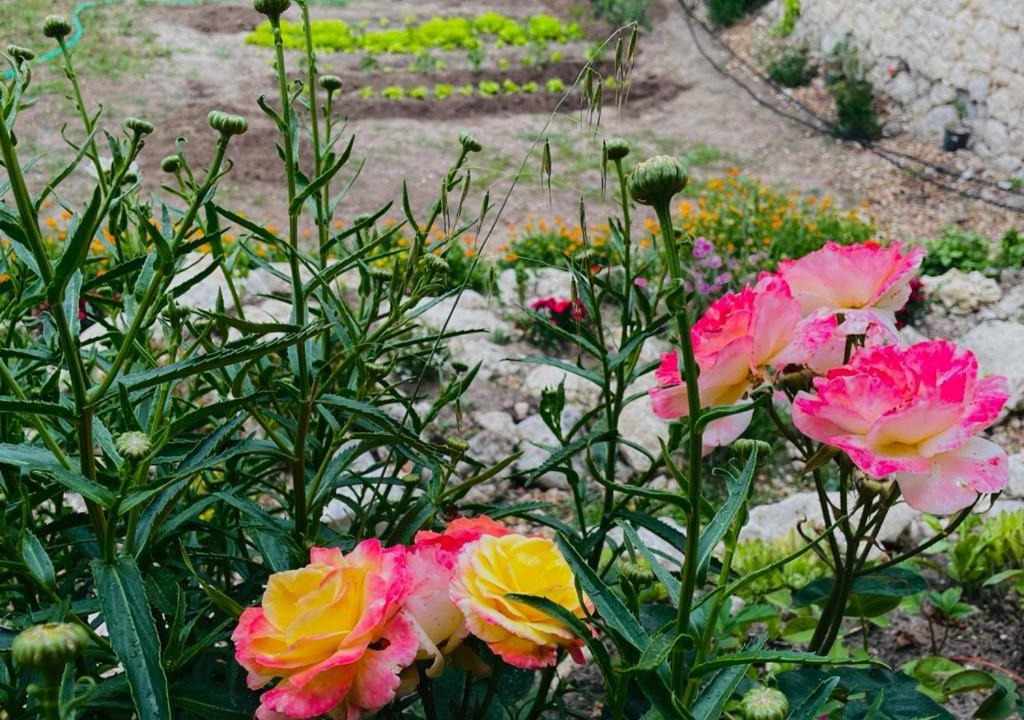 Photo of Outdoor in Aldeasona