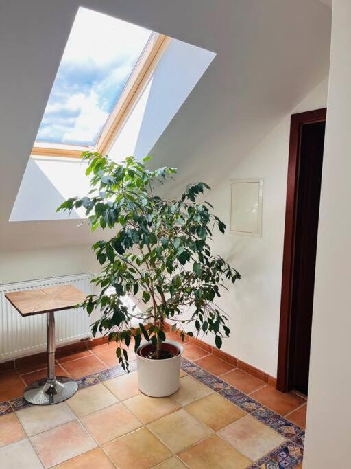 Photo of Livingroom in Orech