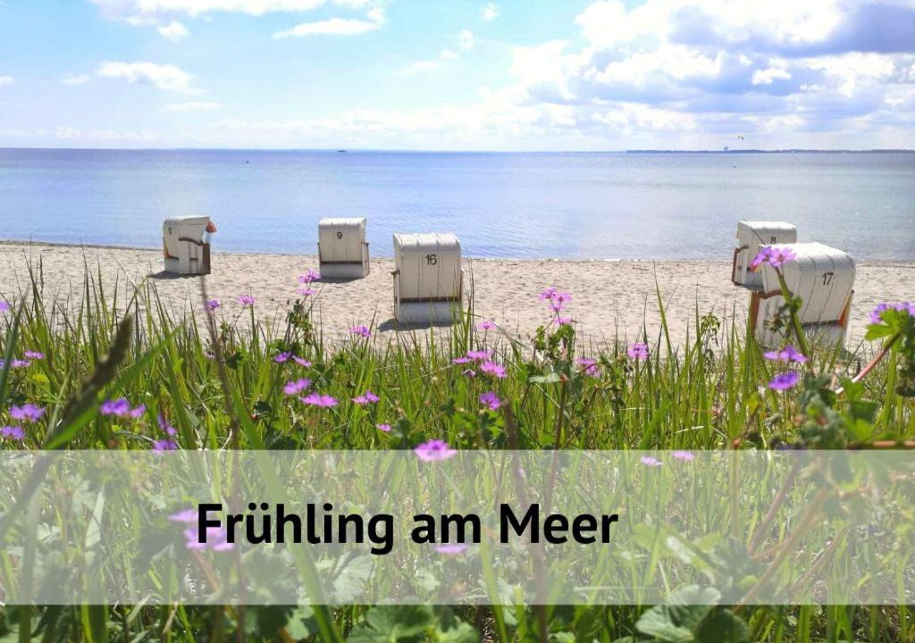 Photo of Others in Timmendorfer Strand