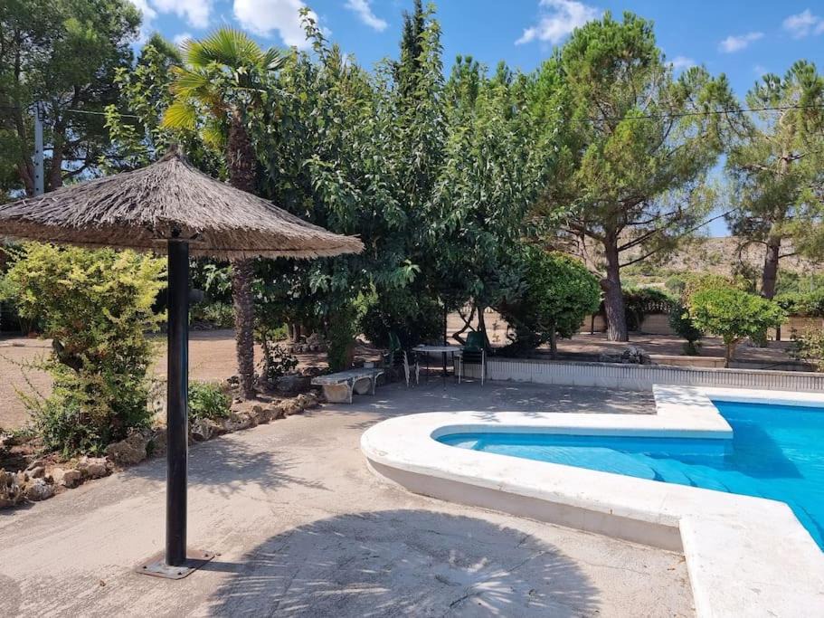 Photo of Outdoor in Villena