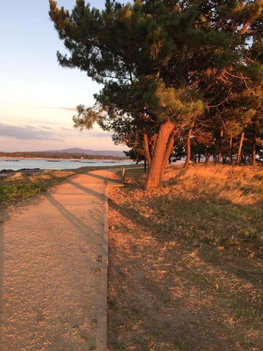 Photo of Others in Isla de Arosa
