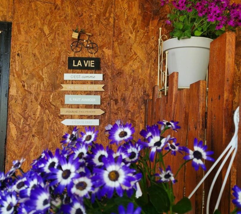 Photo of Others in Lavilledieu