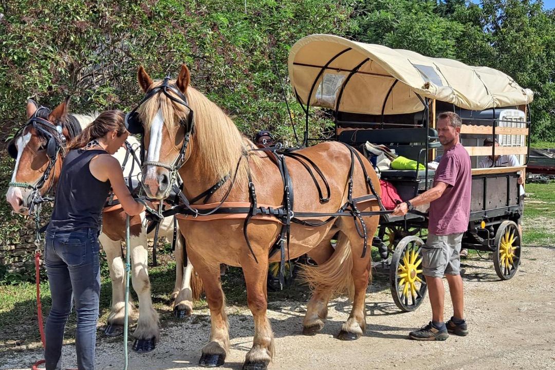 Photo of Others in Saint-Amand-de-Coly