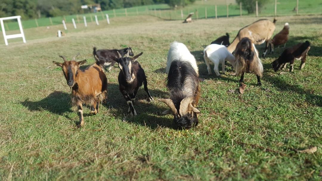 Photo of Others in Orthez