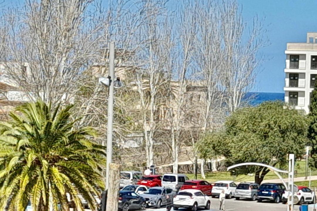 Photo of Others in Puerto de Soller