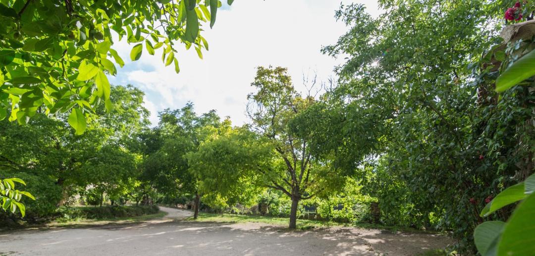 Photo of Outdoor in Nerpio