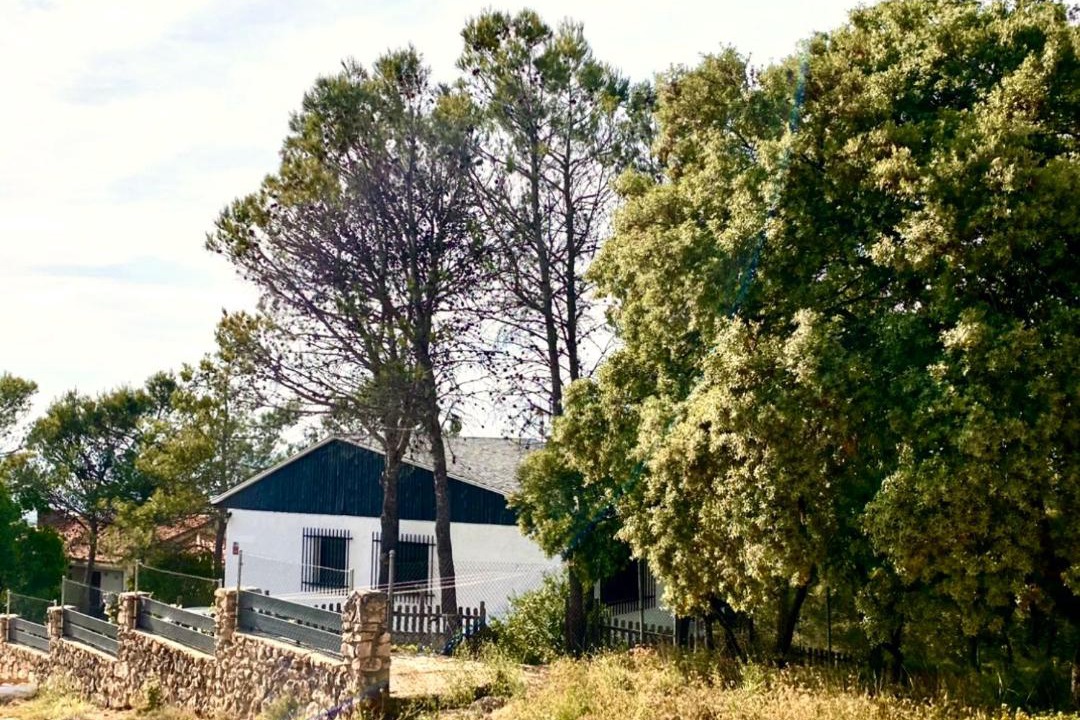 Photo of Others in Albalate de Zorita