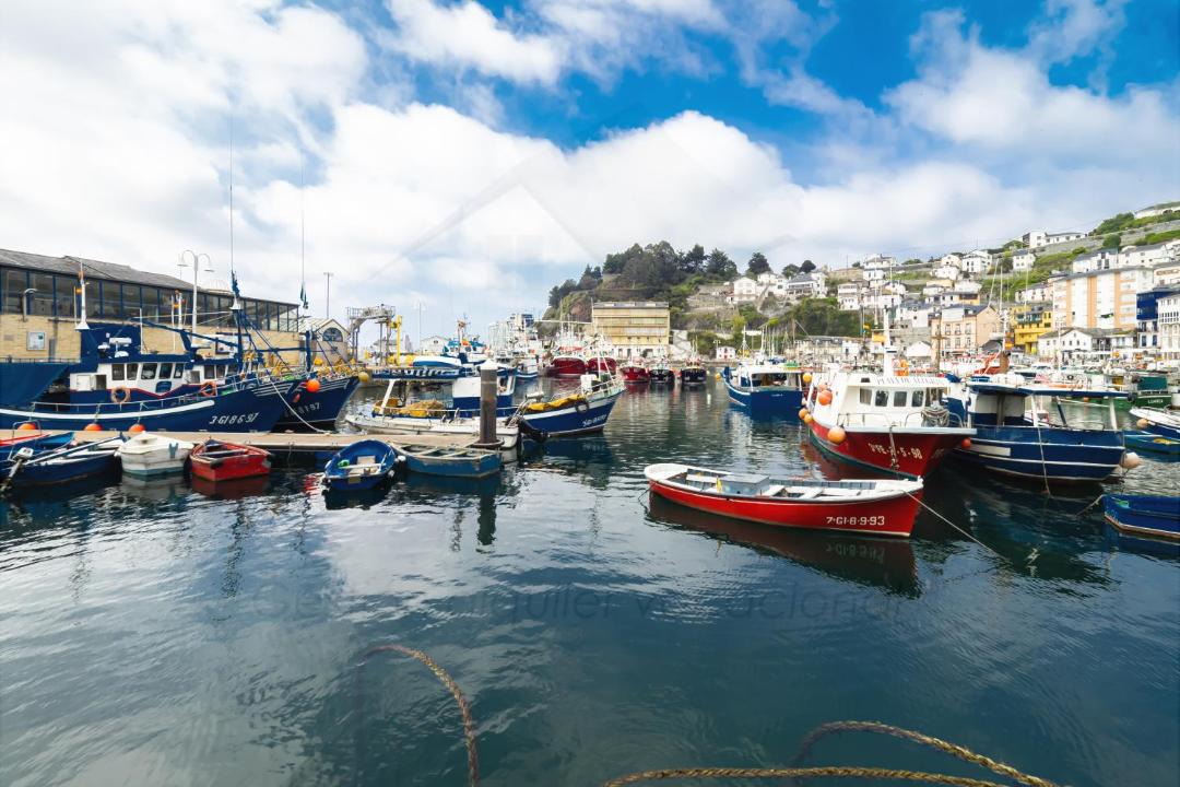 Photo of Others in Luarca