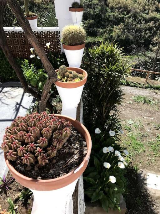 Photo of Patio Balcony in Juncalillo