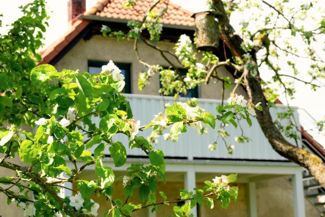 Photo of Buildings in Stolpe