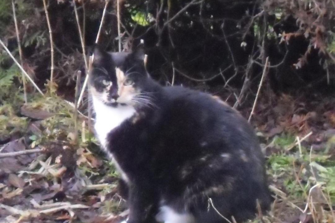 Photo of Others in Lindwedel