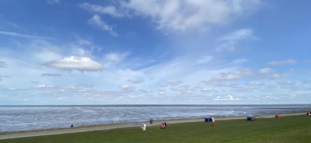 Photo of Outdoor in Friedrichskoog
